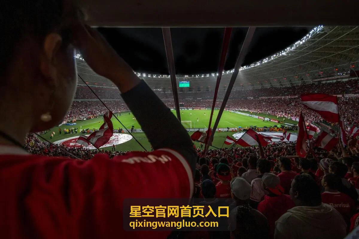 星空官网首页入口在团队内统一分发的使用场景