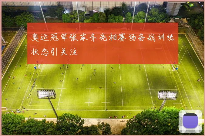 奥运冠军张家齐亮相赛场备战训练状态引关注