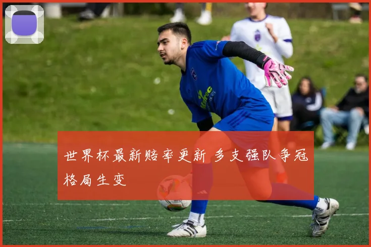 世界杯最新赔率更新 多支强队争冠格局生变