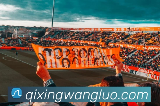 易倍emc官网怎么样发展历程